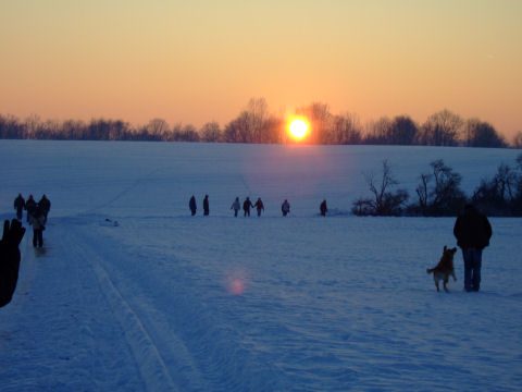 geschichte_2009_01